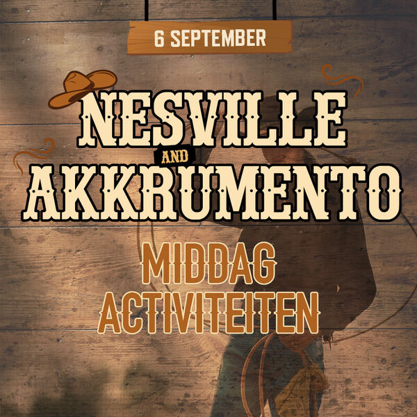 dt-cwfestival-middagactiviteit