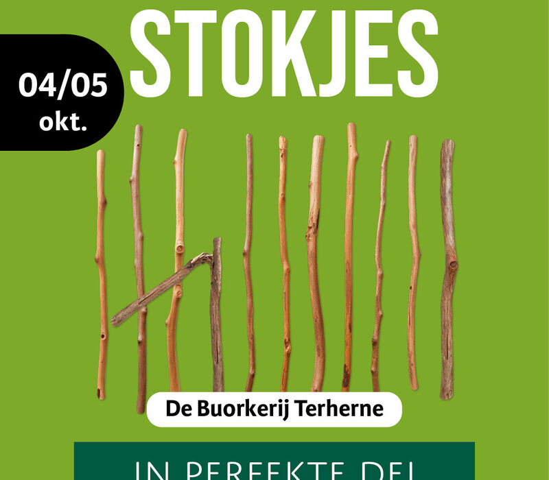 dt-stokjes-terherne