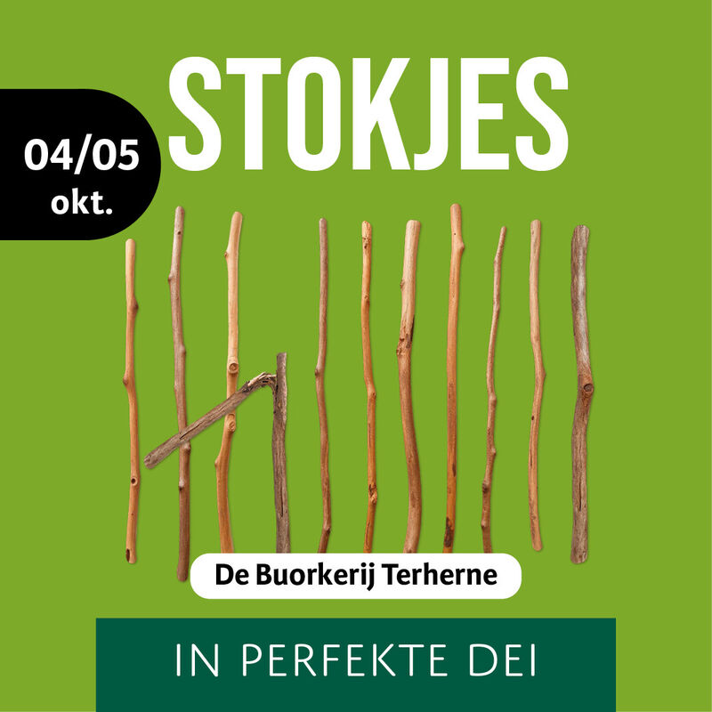 dt-stokjes-terherne