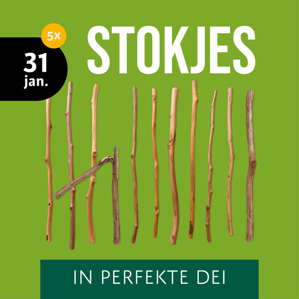 dt-2425-programma-stokjes