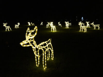 2c8274f9-3c14-4de0-afc0-830d7a