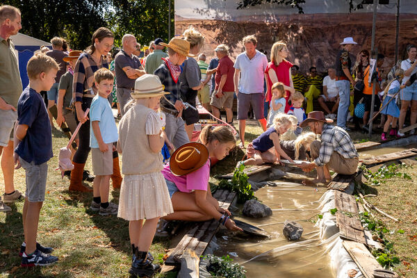 akkrumento-nesville-102