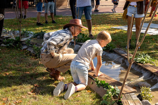 akkrumento-nesville-21